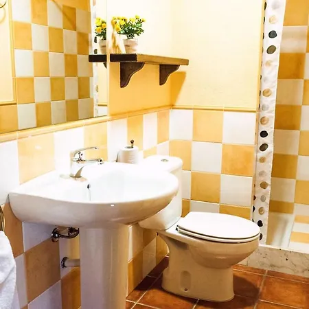 Cisquet * El Pla de Teyá